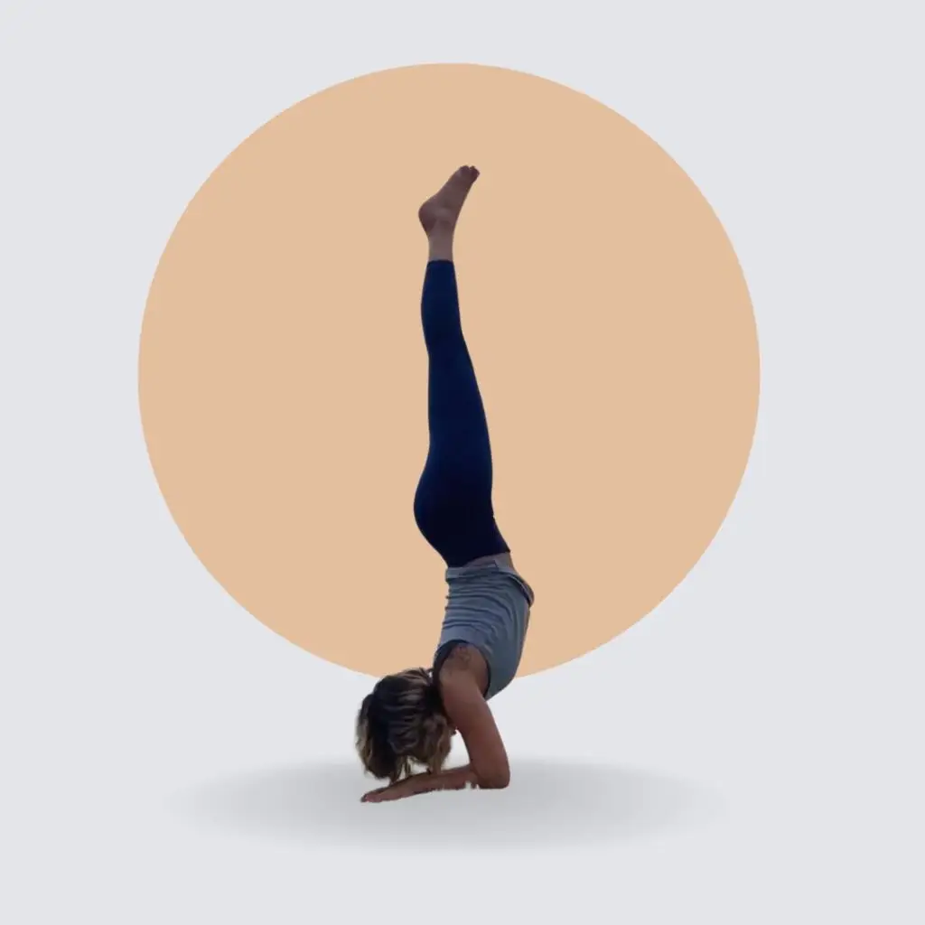 Masterclass invertidas