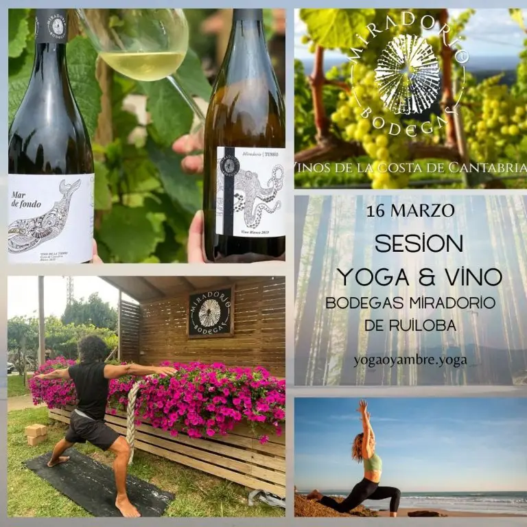 YOGA Y VINO